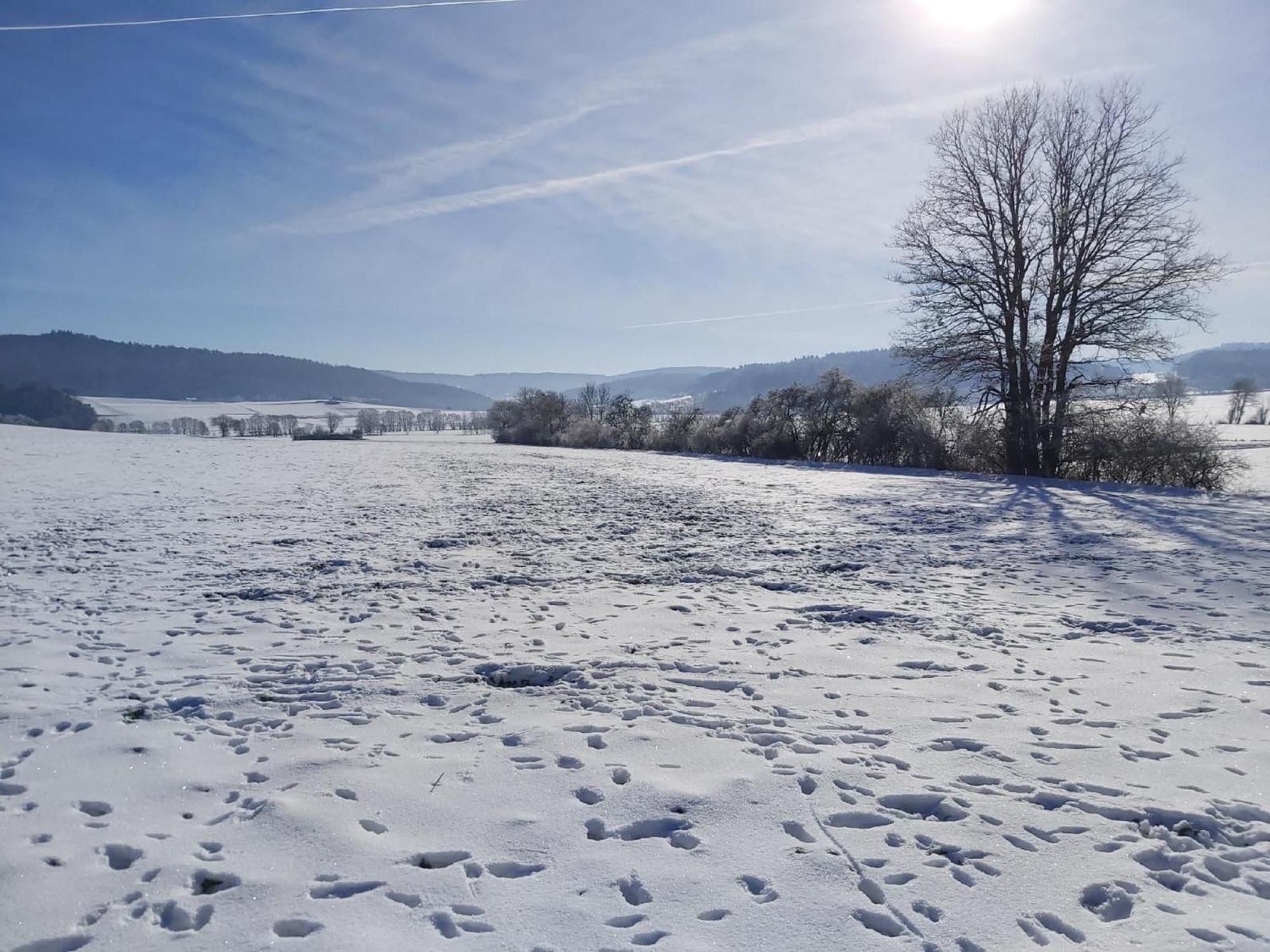 Reitze Hoob Apartment Hommertshausen Bagian luar foto